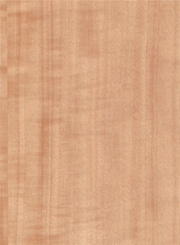 重庆木质护墙板